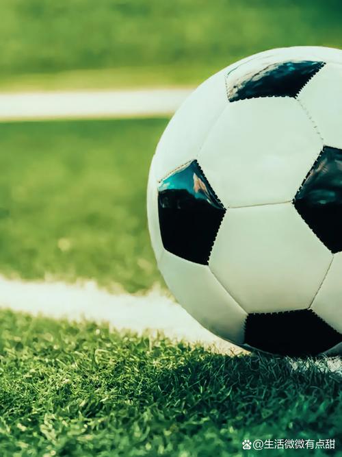 篮球爱好者实时观赛场景