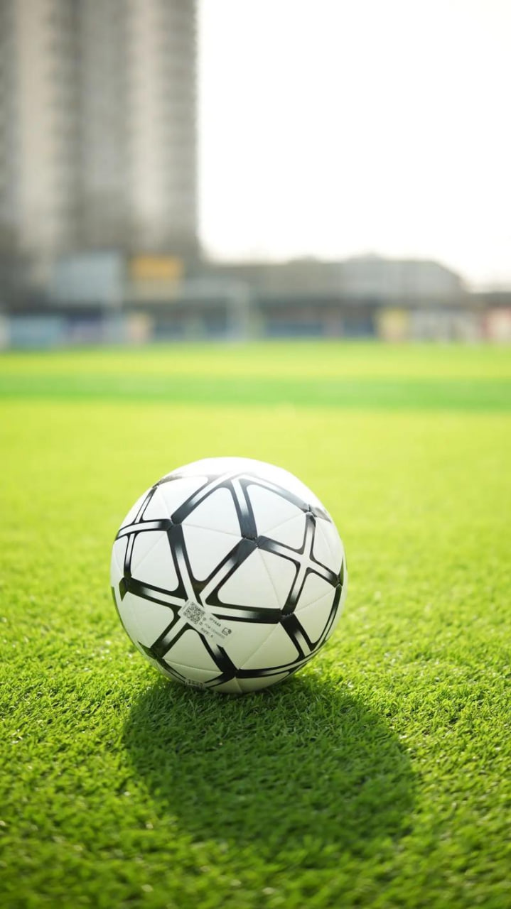 篮球教练战术分析场景