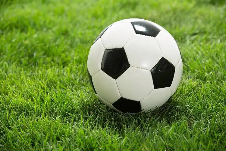 休闲用户关注篮球赛事